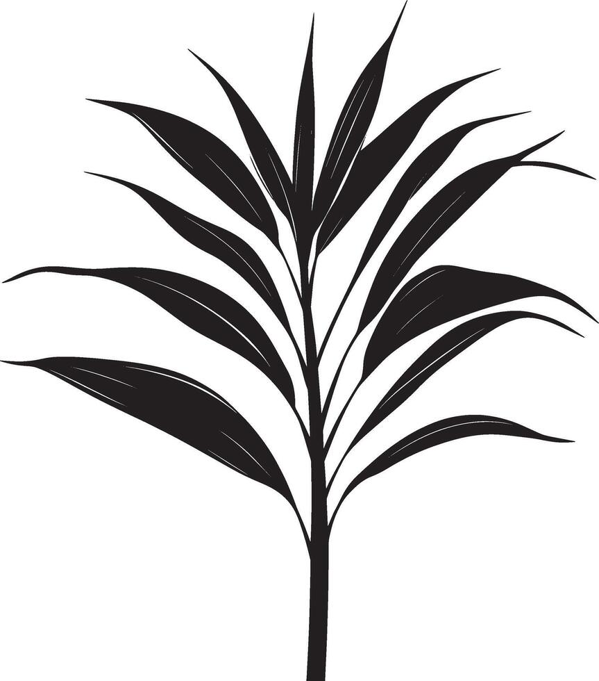Dracaena leaf simple silhouette black illustration vector