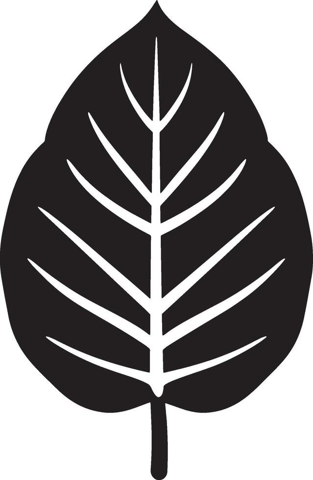 Black illustration of a calathea leaf icon vector