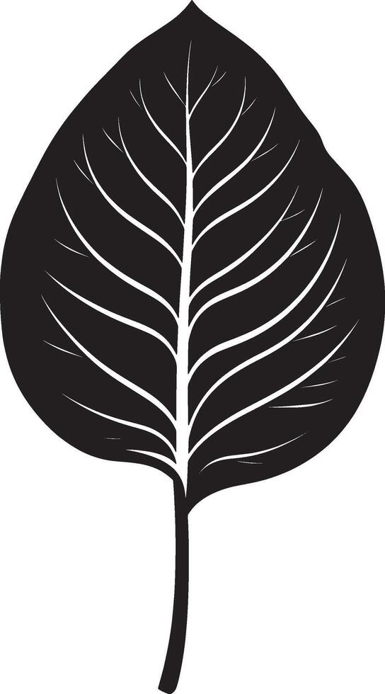 Calathea leaf silhouette illustration in black vector