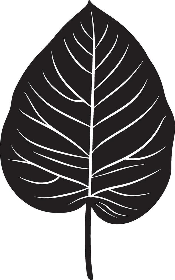 Calathea leaf icon black illustration vector