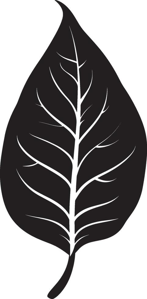 Black illustration of a Dieffenbachia leaf icon vector