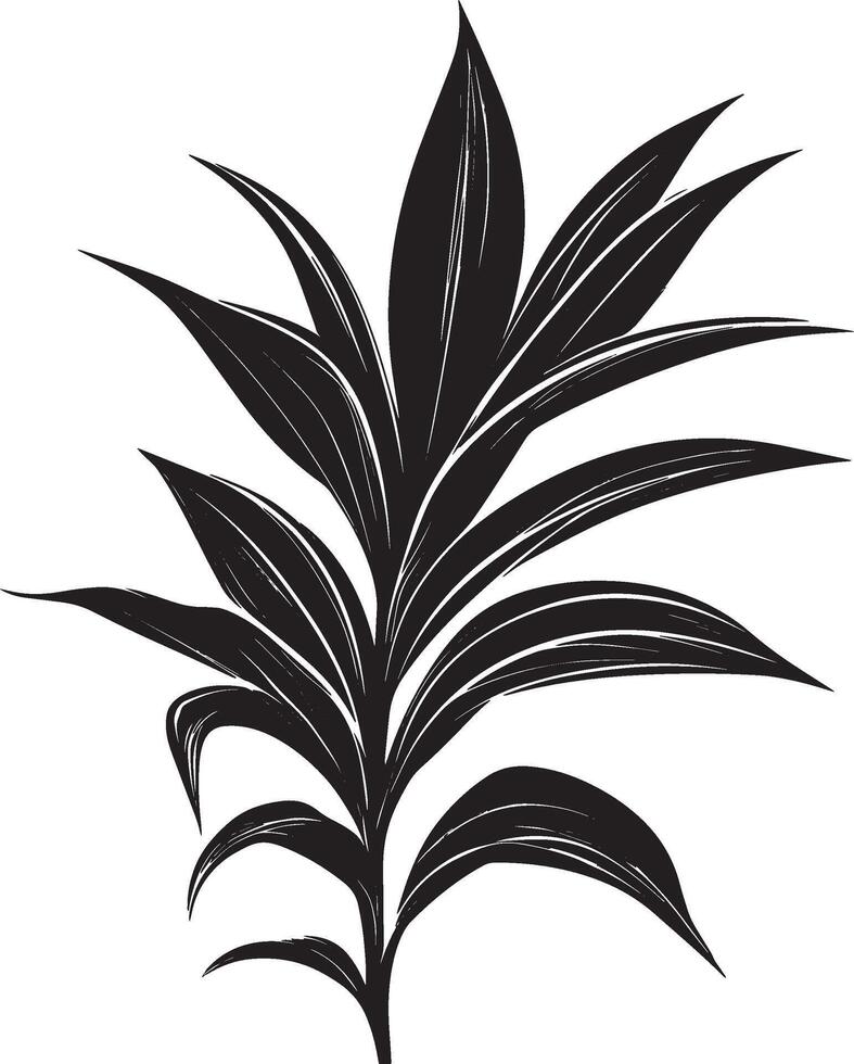 Black illustration of a Dracaena leaf icon vector