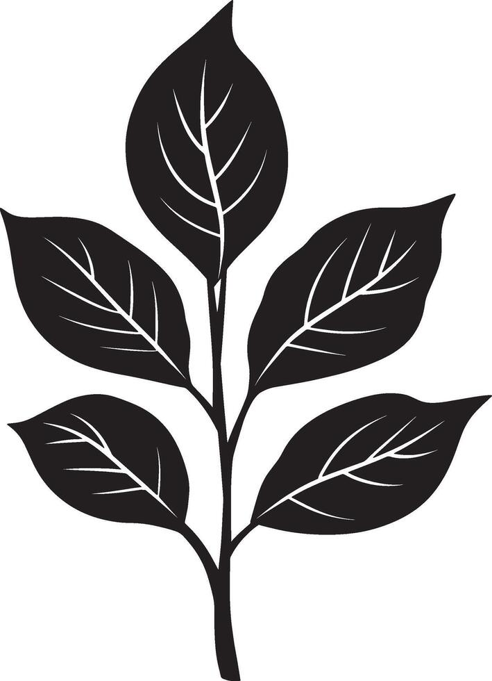 Minimalist black silhouette of a Ginger plant leaf in format vector