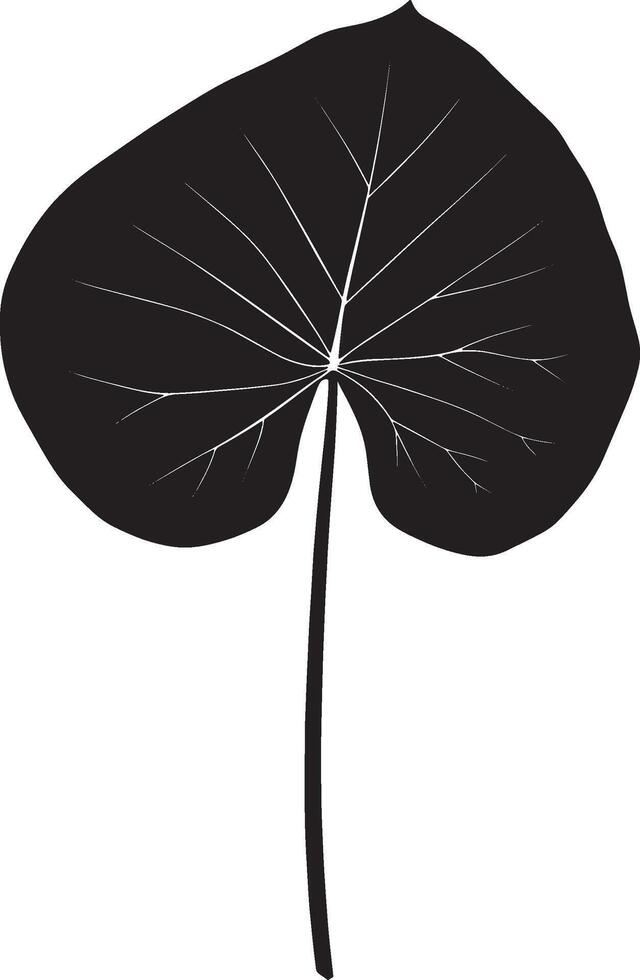 Taro leaf simple silhouette black illustration vector