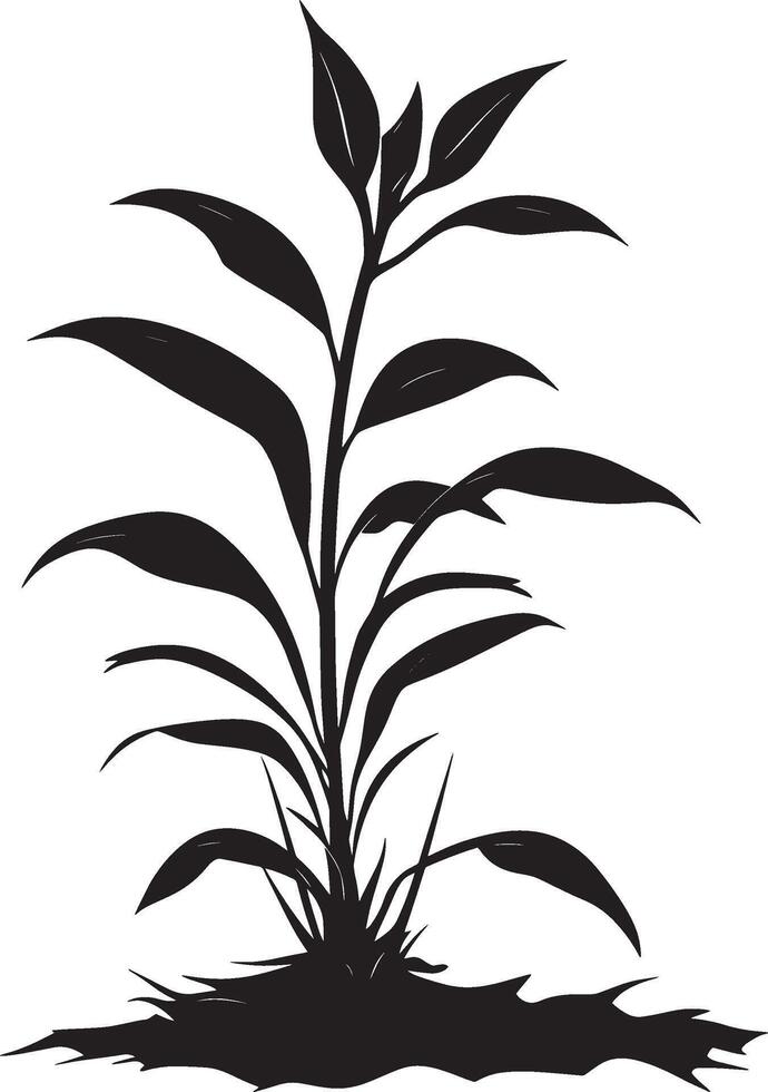 Ginger Plant simple silhouette black illustration vector