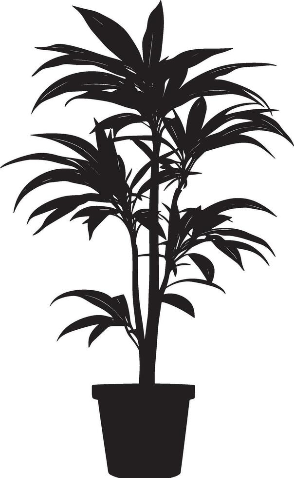Black illustration of a simple Dracaena plant silhouette vector