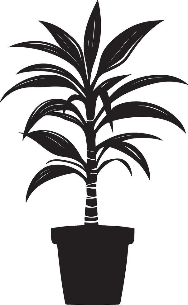 Dracaena plant icon black illustration vector