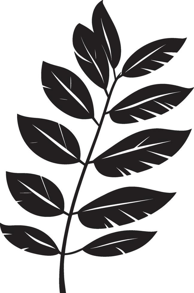 Black illustration of a Heliconia leaf icon vector