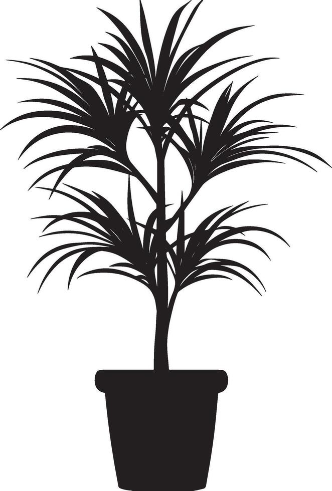 Minimalist black silhouette of a Dracaena plant in format vector