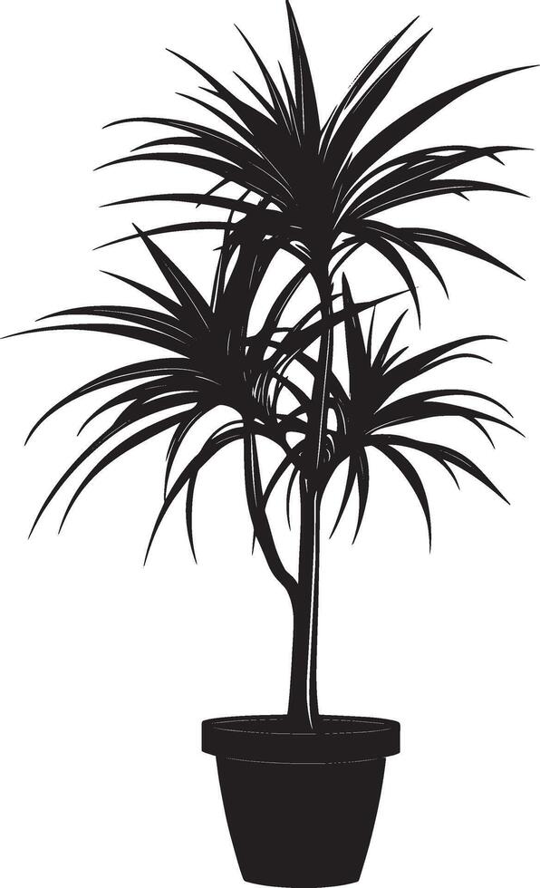 Dracaena plant symbol in black style vector