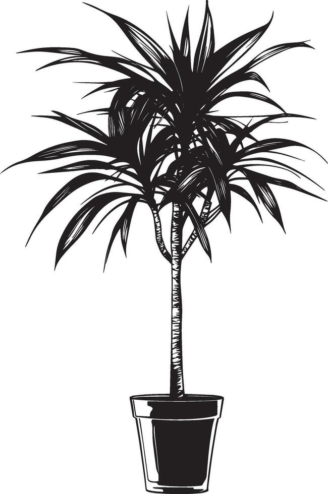 a black and white drawing of a potted plant vector