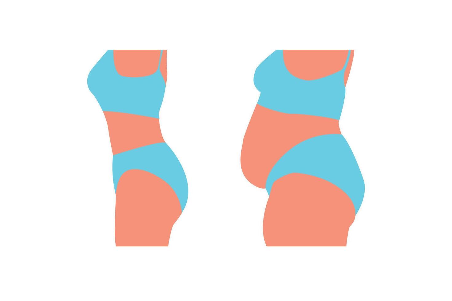 Female body side view on a white background. Slimming. Sports training. vector