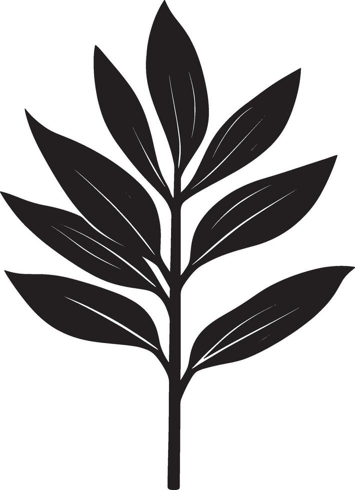 Bromeliad leaf silhouette in black style vector