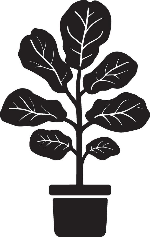 Minimalist black icon of a fiddle leaf fig vector