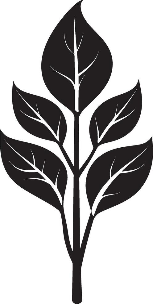 Canna lily leaf icon in black style vector