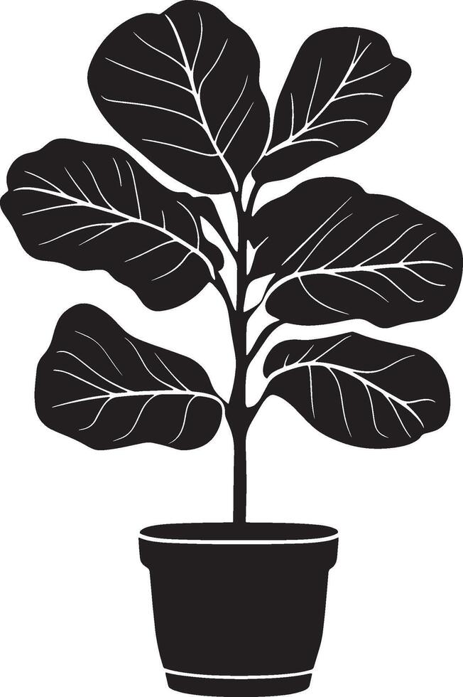 Fiddle Leaf Fig icon black illustration vector