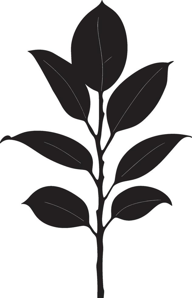 Rubber Plant simple silhouette black illustration vector