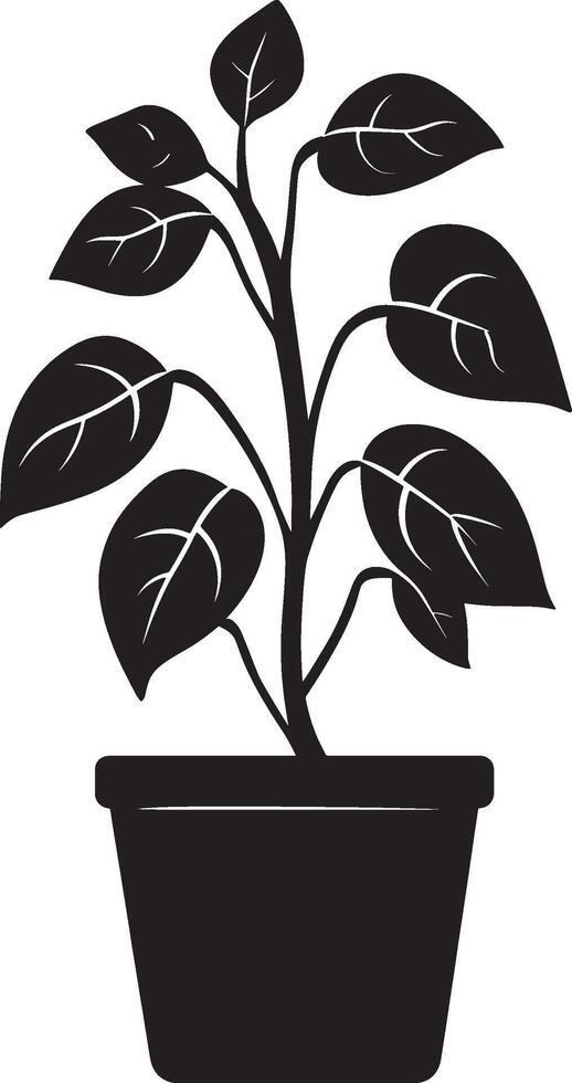 Pothos icon in black style vector