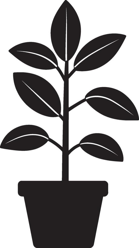 Rubber plant icon in black style vector