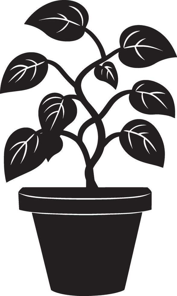 Black illustration of a pothos icon vector