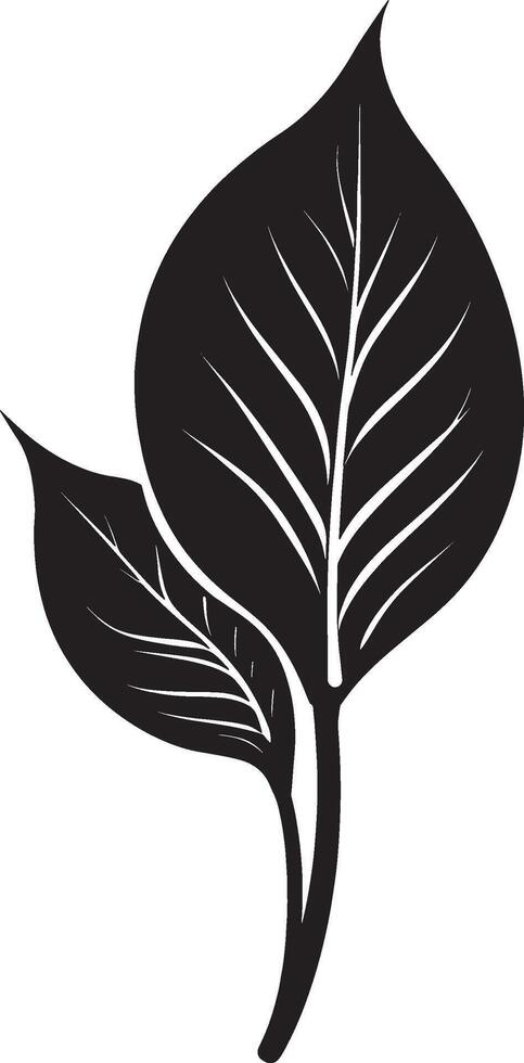 Black illustration of a canna lily leaf icon vector