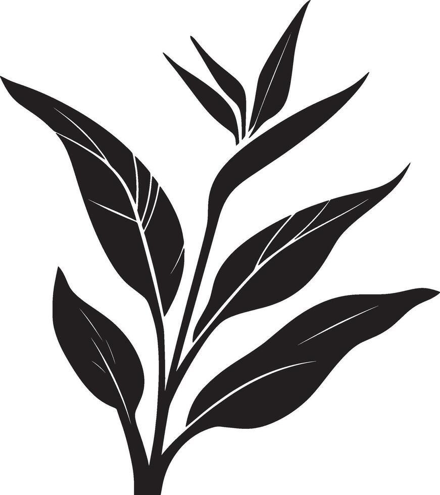 Bird of Paradise leaf icon black illustration vector