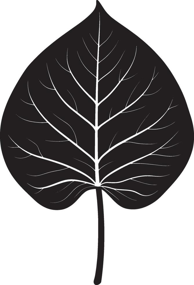 Philodendron leaf simple silhouette black illustration vector