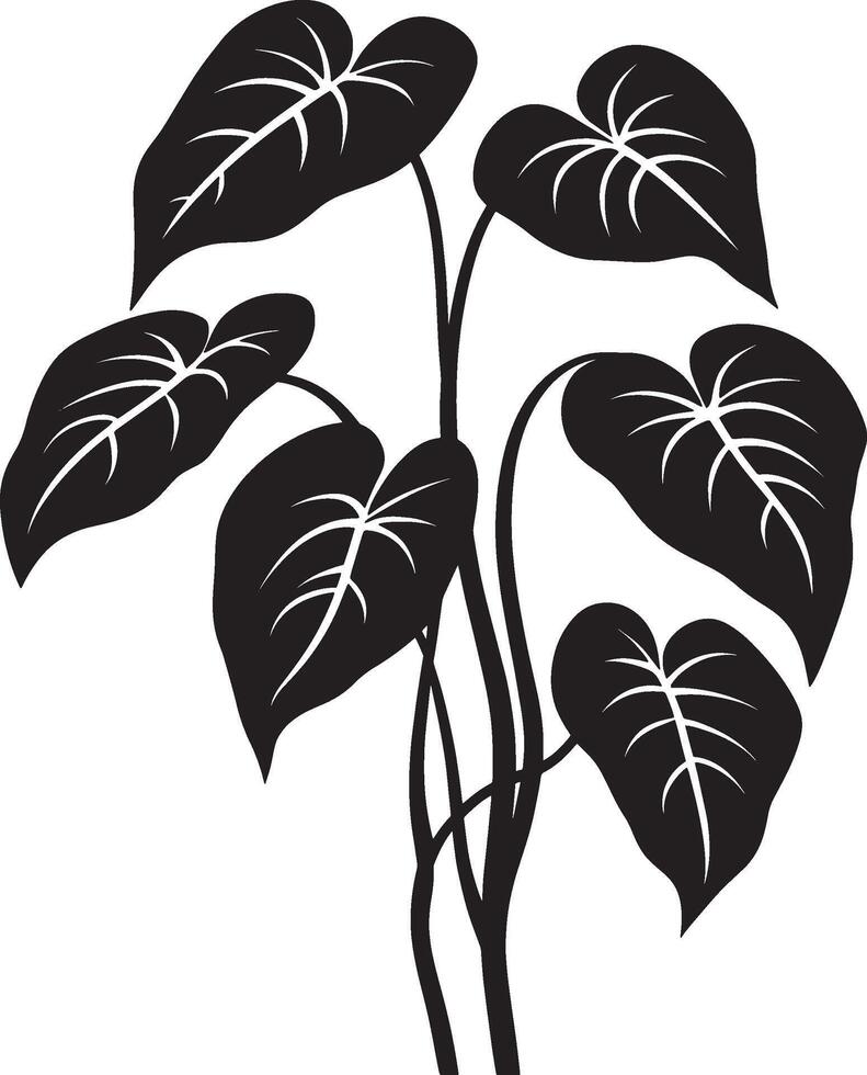 Philodendron simple silhouette black illustration vector