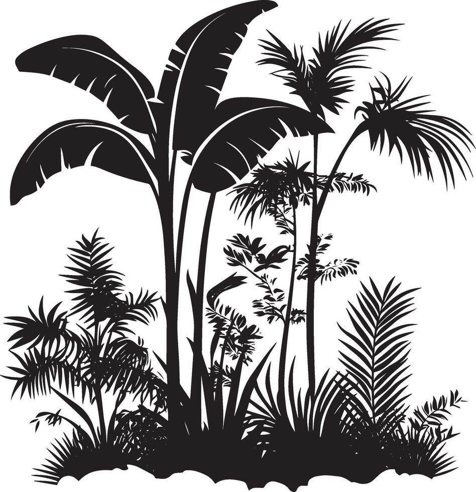 tropical jungle plant simple silhouette black illustration vector