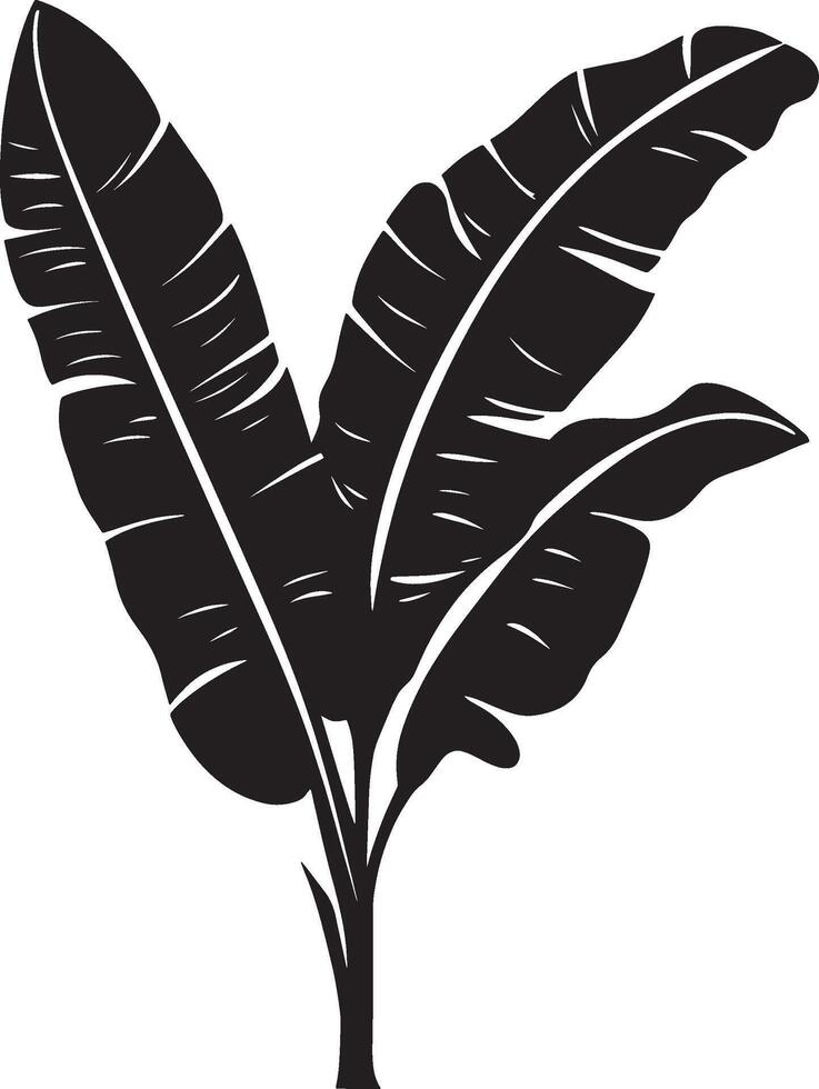Banana Plant leaf simple silhouette black illustration vector