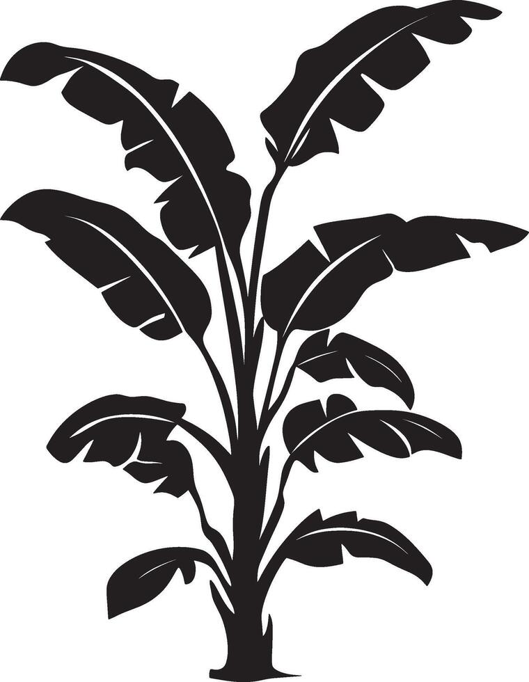 Banana Plant simple silhouette black illustration vector