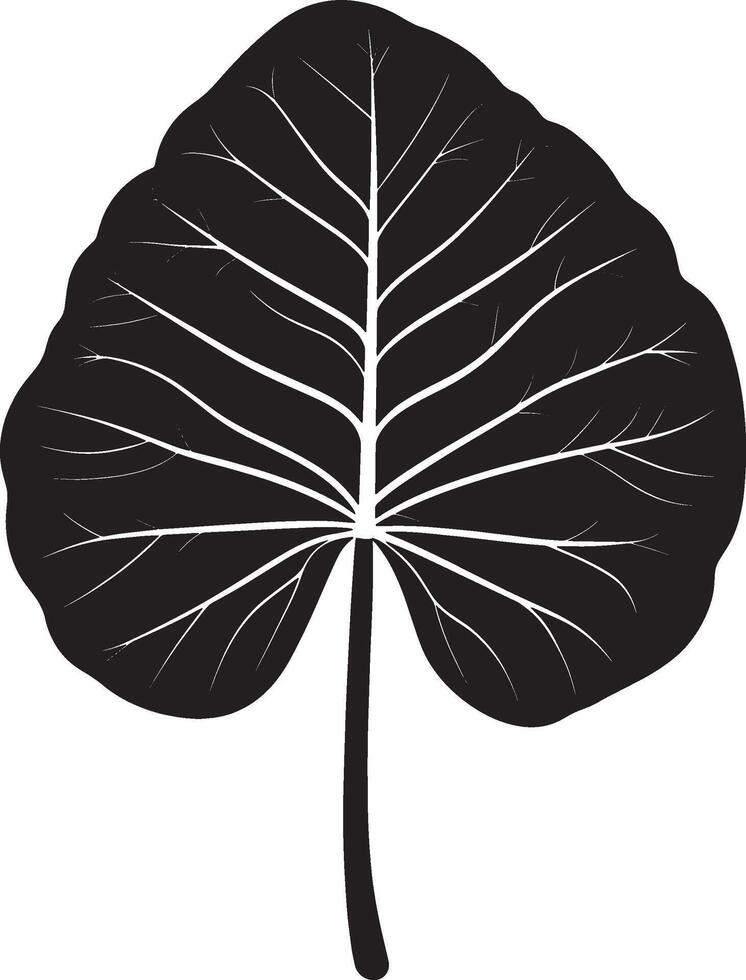 Alocasia leaf icon black illustration vector