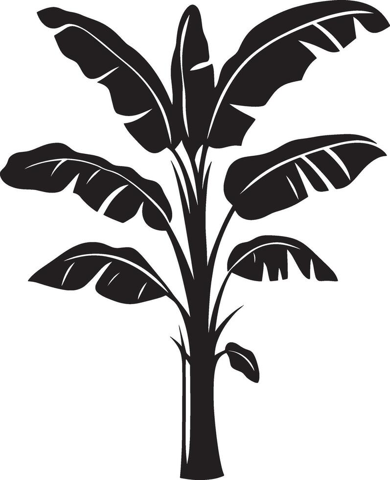 Banana plant silhouette in black style vector
