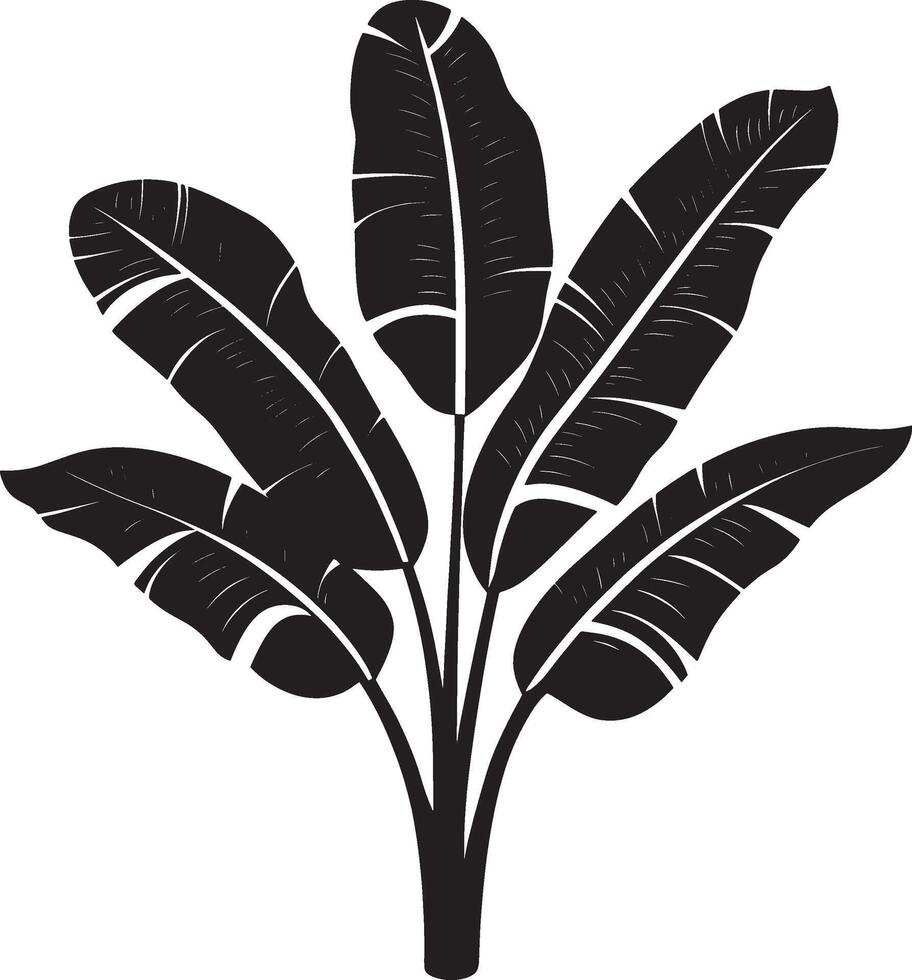Banana Plant leaf icon black illustration vector