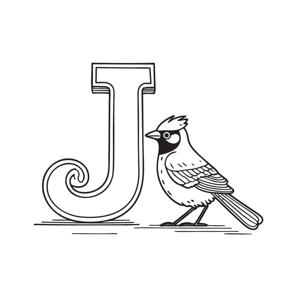 An illustration of Jay bird with letter J beside it vector