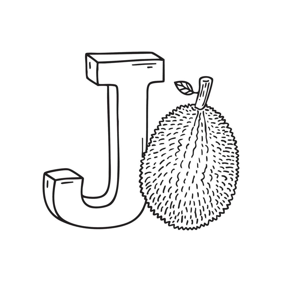 An illustration of Jackfruit with letter J beside it vector