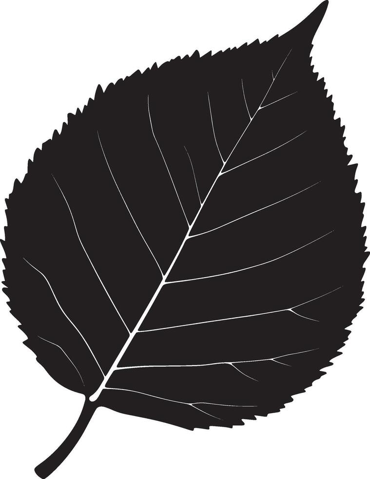 leaf simple silhouette black illustration vector