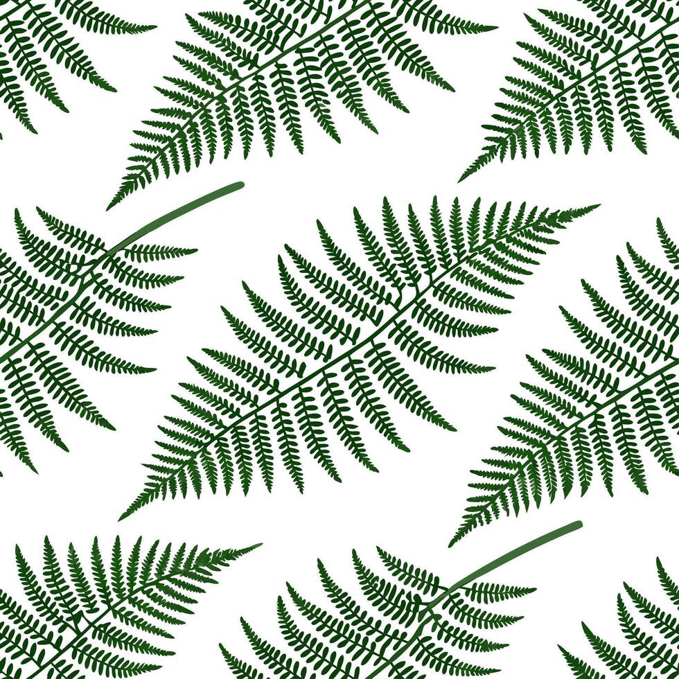 Clean Fresh fern seamless tile pattern with intricate fronds and rich green tones for spring freshness concept as Fresh fern fronds with rich green tones and intricate details create a s vector
