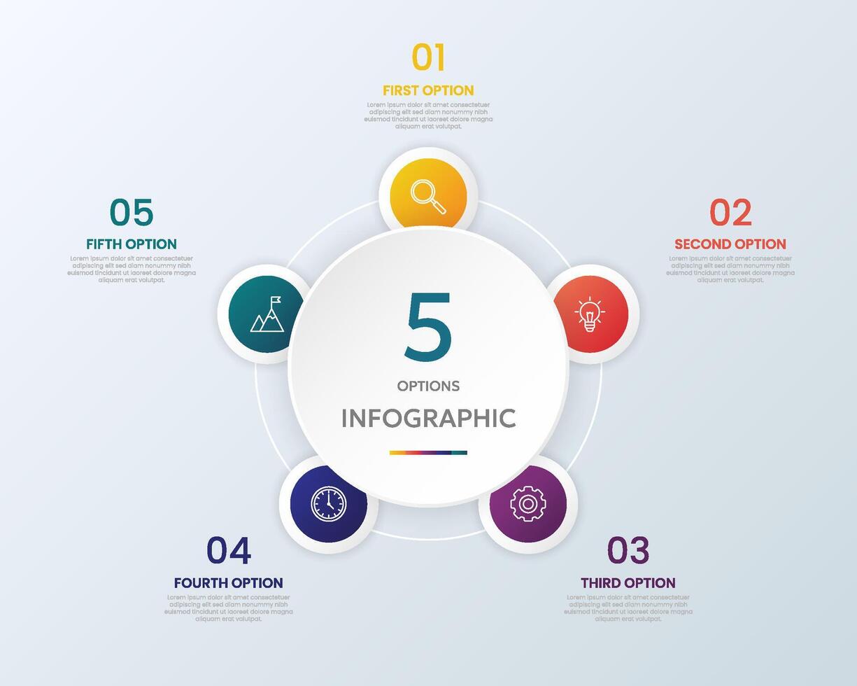 5 step timeline infographic chart vector