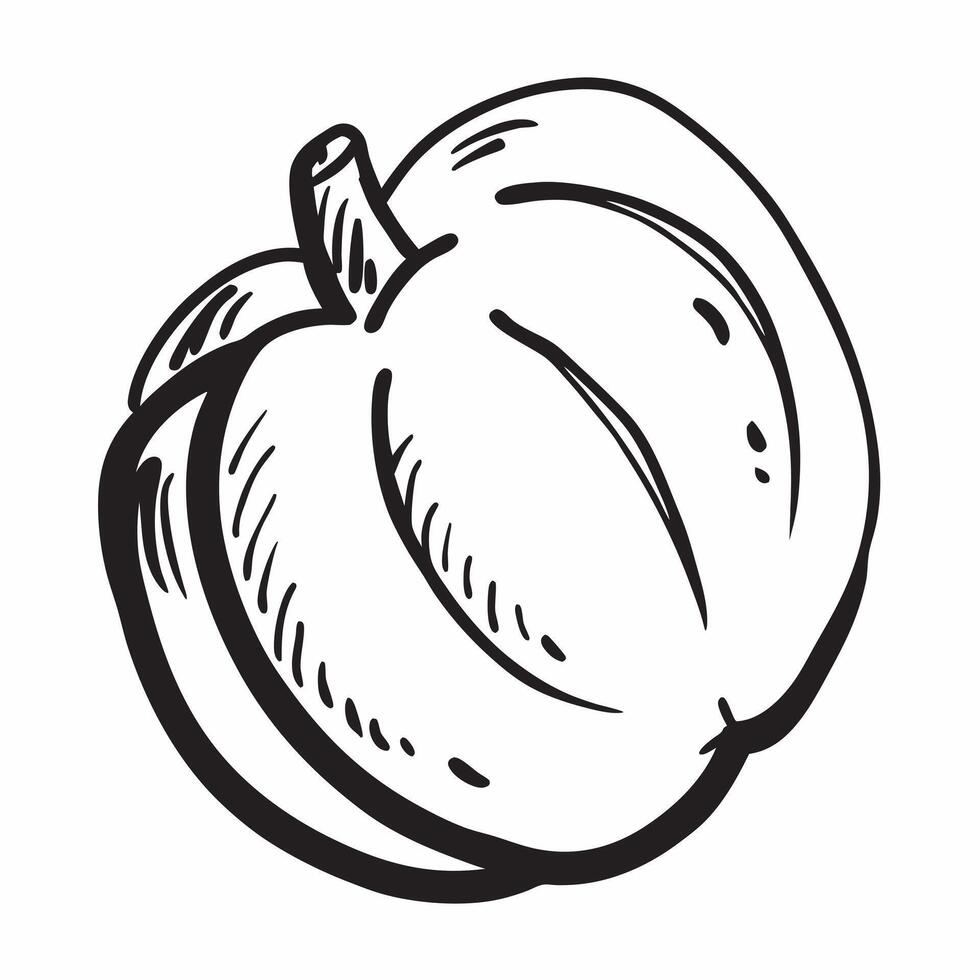 Clean Apple icon with copy space on a white background concept as A image of an apple icon with generous copy space on a white background ideal for promoting healthy eating and nu vector