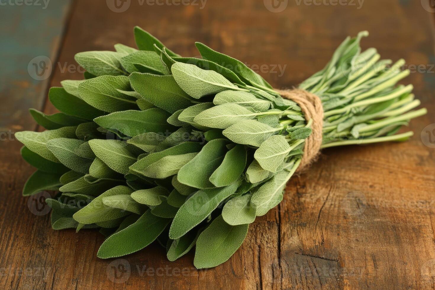 Fresh sage bundle on rustic wooden table photo