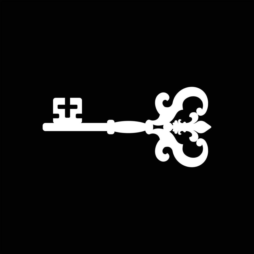 A white key icon on a black background vector