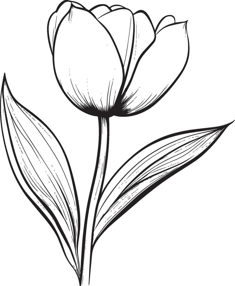 Minimalist black linear outline icon of a tulip flower vector