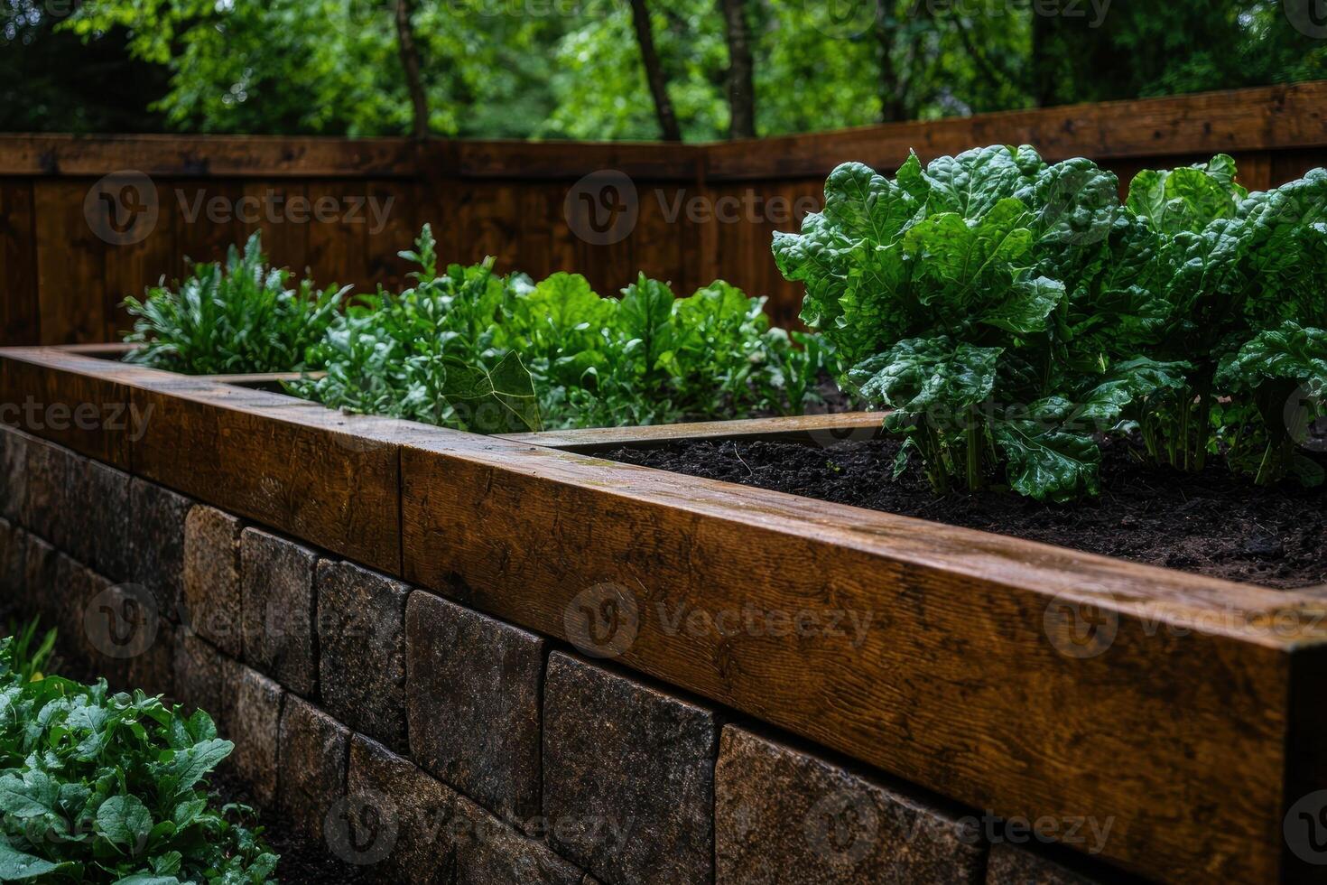 Raised garden bed with fresh vegetables growing photo