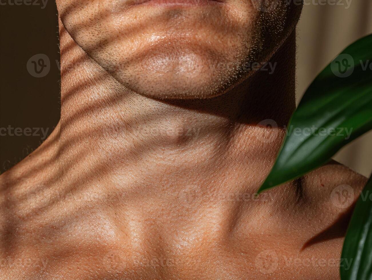 Close up of a mans neck and chest with shadows and a plant photo