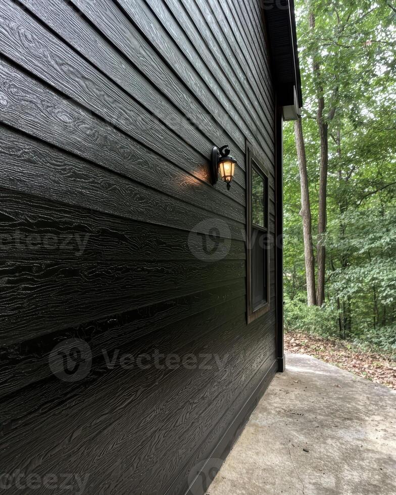 Exterior of a modern house with dark wood siding and an outdoor light photo