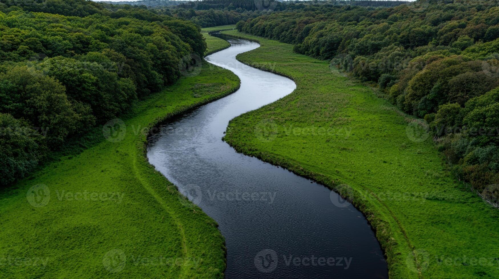Aerial view of a river winding through a green landscape photo