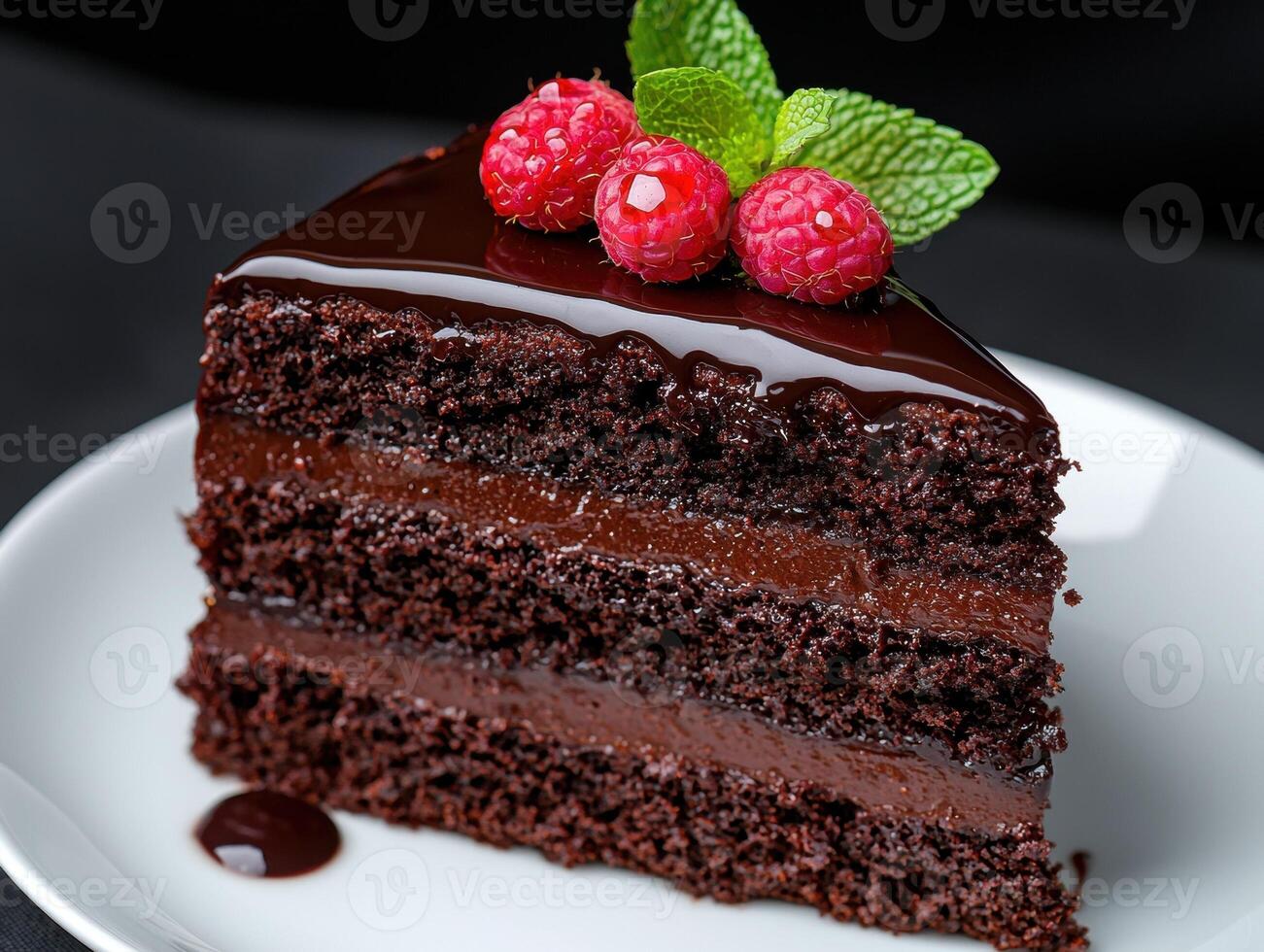 A decadent slice of chocolate cake topped with raspberries and mint photo