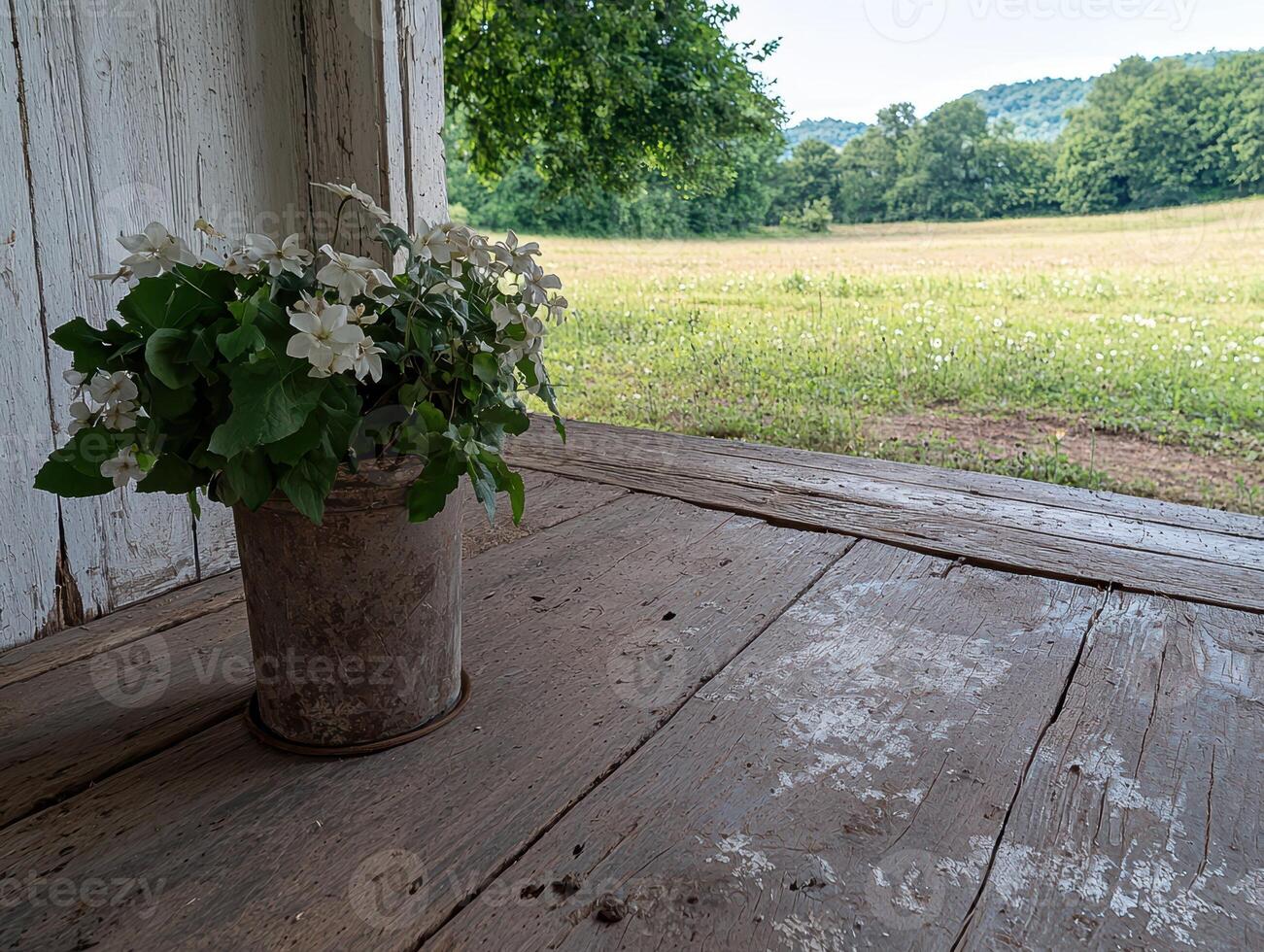 White flowers in a rustic bucket on a porch overlooking a meadow photo