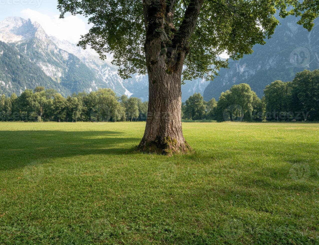 Scenic landscape with a large tree in a green field and mountains in the background photo